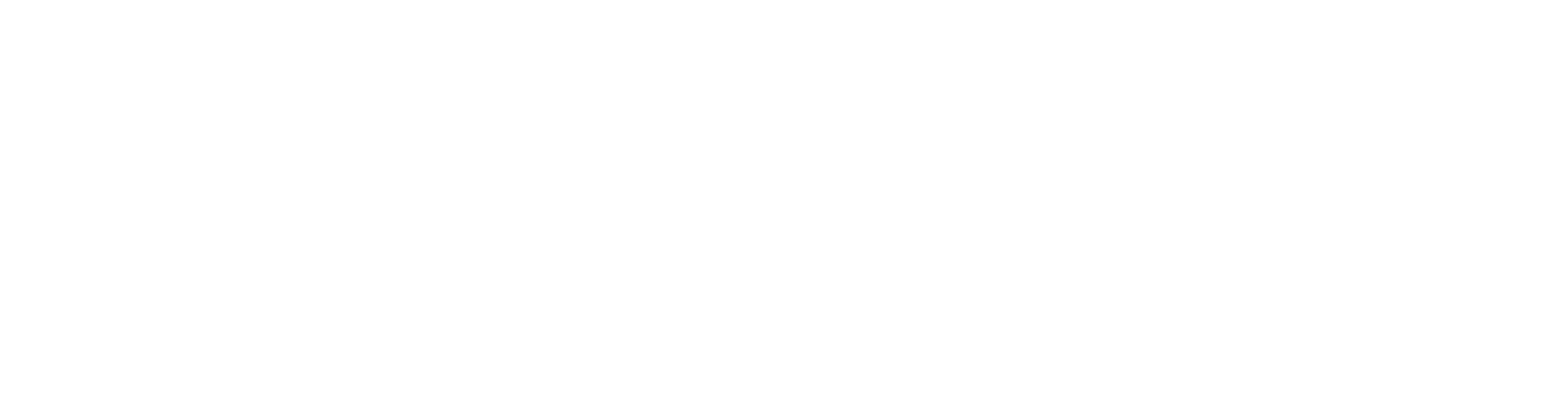 Cyberint white logo